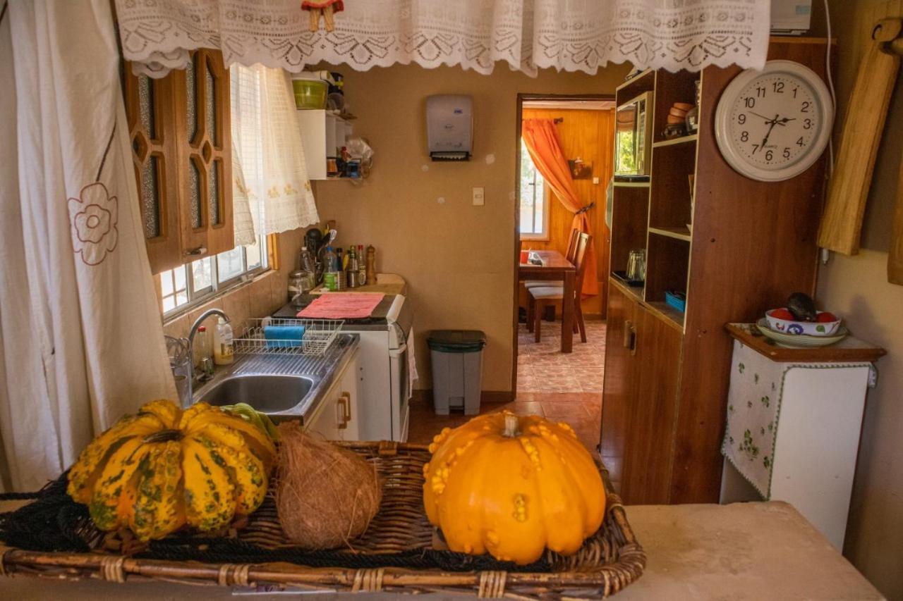 Apartmán La Huerta Vicuña Exteriér fotografie